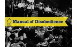 Manual of Disobedience